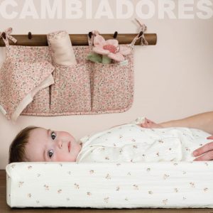 CAMBIADORES